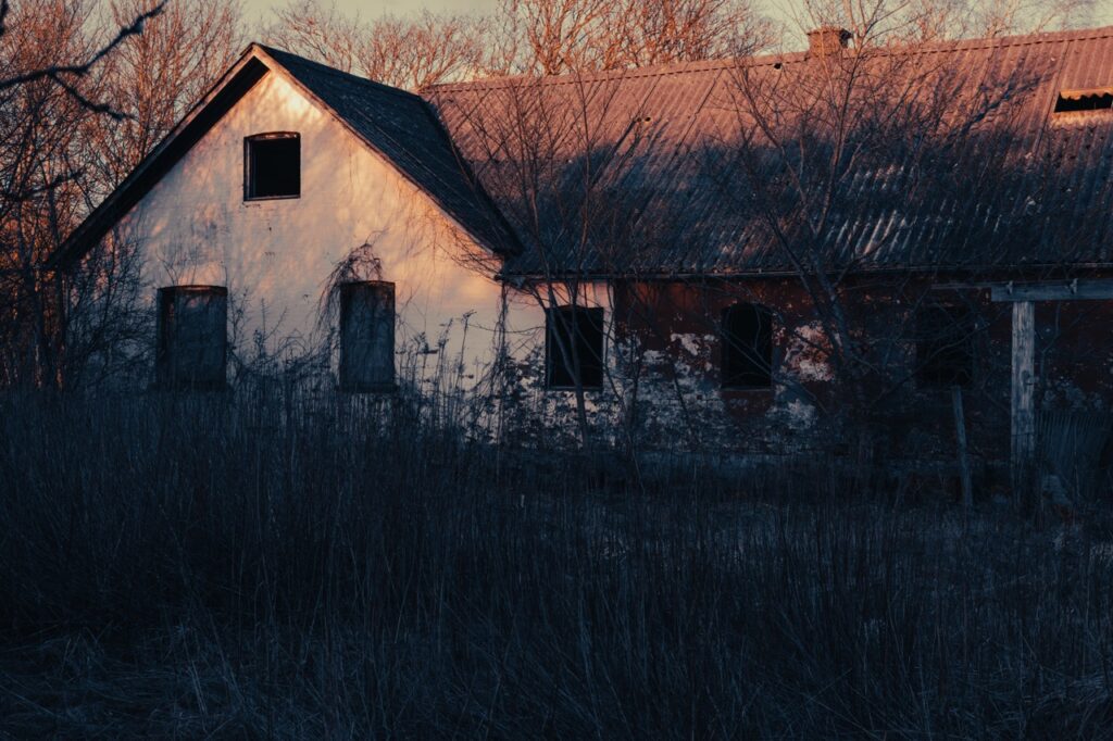 Albumfoto for Drengestreger: forladt hus med hvide og mørkerøde mure, tilgroet og med mørke vinduer – fotograferet i lav vintersol med lange skygger og tørre, vilde planter i forgrunden.