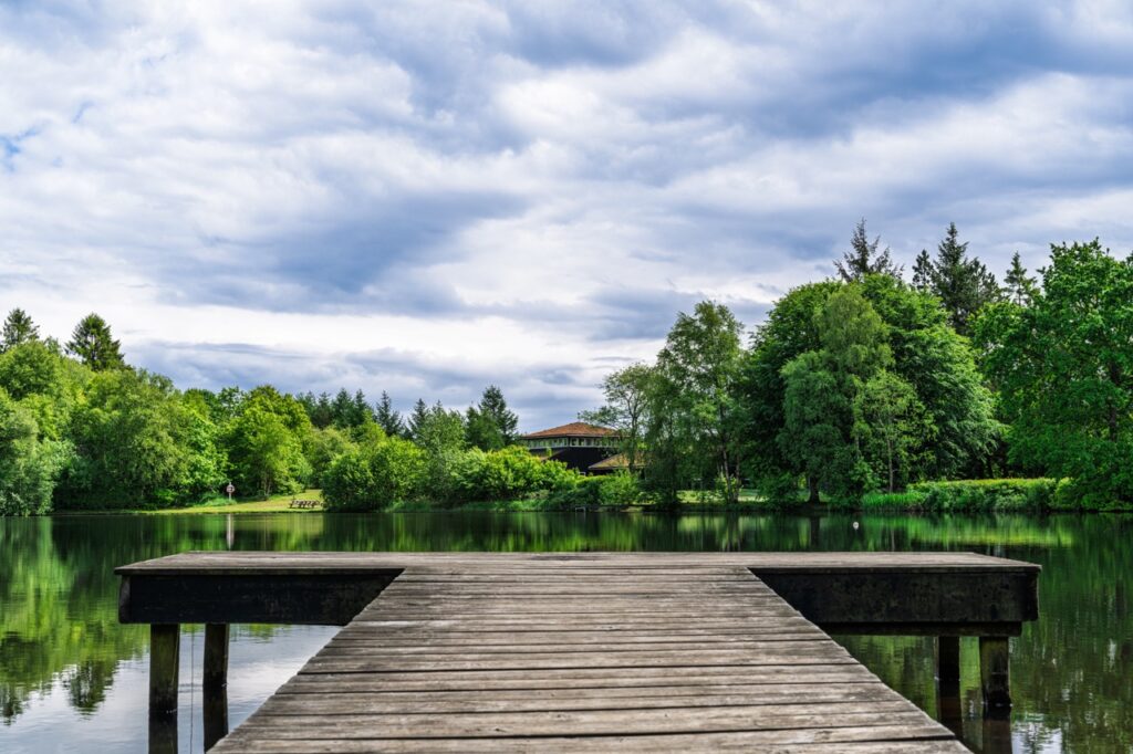 Udsigt fra en badebro over s&oslash;en ved H&oslash;jskolen Sk&aelig;rg&aring;rden omgivet af gr&oslash;n skov, fotograferet af Skovgaard &amp; Damgaard.